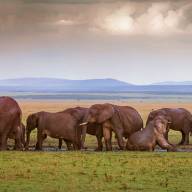 Northern Tanzania, Safari Holiday Destination