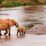 Highlights of Kenya Safari Vacation Holiday – 7 Days