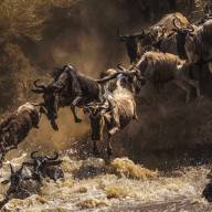 Migration, Lake & Crater Kenya and Tanzania Safari Holiday Experience - 10 Days
