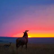 Kenya Family Safari & Beach Holiday Vacation - 13 Days