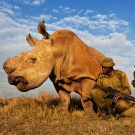 Ol Pejeta, Masai Mara Safari & Beach Romantic Honeymoon Safari Holiday Vacation - 13 Days
