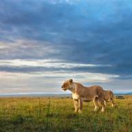 Tanzania Undiscovered Safari and Beach Holiday Vacation - 14 Days