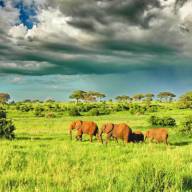 Extended Highlights of Tanzania Safari Holiday Experience – 12 Days