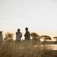 Tanzania Pristine Safari Adventures to the Unspoilt Katavi and Mountains of Mahale - 11 Days