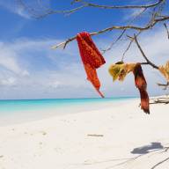 Zanzibar Island East Coast Beach Holiday Vacation Extension - 7 Days