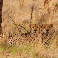 Meru National Park, Kenya Destinations