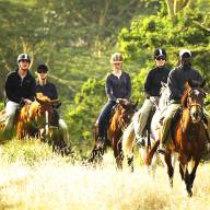Horse Riding Safaris
