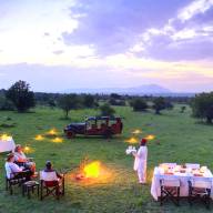 Luxury Safaris