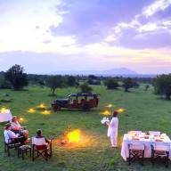 Luxury Safaris