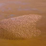 Lake Logipi, The Great Rift Valley Lakes, Kenya Destinations