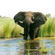 Queen Elizabeth National Park, Uganda Destinations