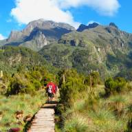 Ruwenzori Mountain Ranges, Uganda Destinations