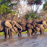 Nyerere National Park (Selous Game Reserve), Southern Tanzania Destinations